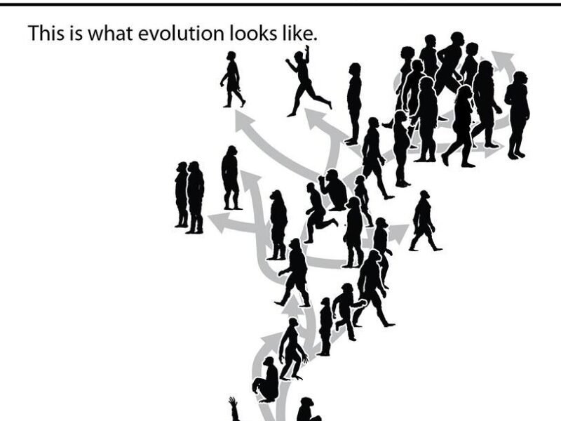 The Evolution of Motion: A Closer Look at the Wheel