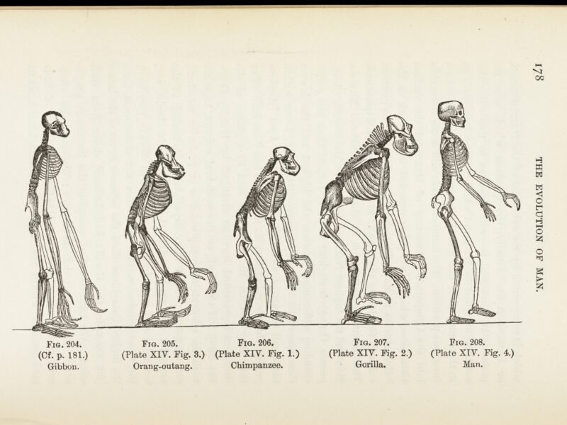 The Evolution of the Wheel: From Ancient Innovation to Modern Necessity