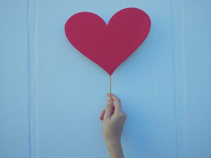 The Heart of Connection: Exploring the Essence of Hubs